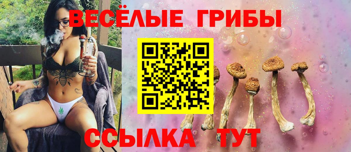 Мытищи  Псилоцибиновые грибы GOLDEN TEACHER  Вход с VPN  Галлюциногенные грибы прущие грибы 