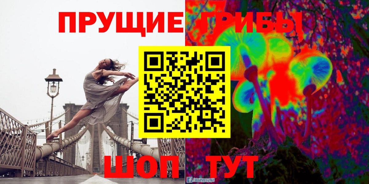 Псилоцибиновые грибы мицелий Мытищи